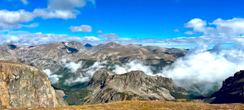 Private Yellowstone & Beartooth Pass Wildlife Tour from Cody