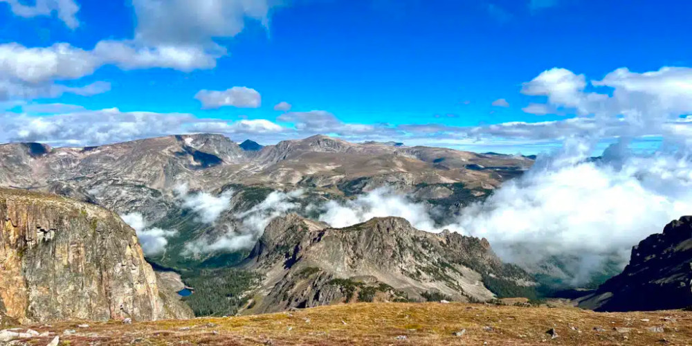 Private Yellowstone & Beartooth Pass Wildlife Tour from Cody