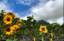 Kualoa Ranch Hawaii10