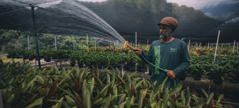 Kualoa Grown Tour