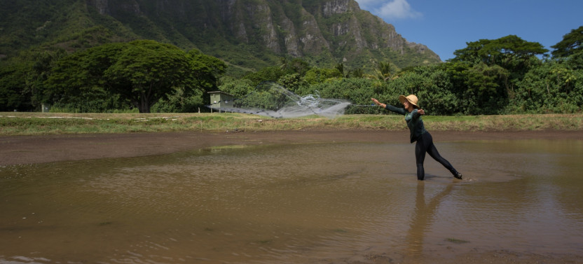 Kualoa Grown Tour