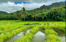 Kualoa Ranch Hawaii1