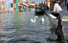 Vidal Venice Tours10