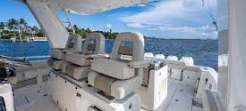 Private Charter from Maalaea Whale Expedition