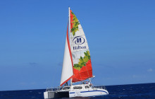 Hawaii Nautical - Oahu12