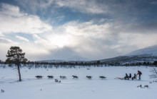 Lights Over Lapland4