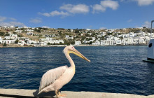 YourConcierge.gr18