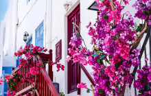 YourConcierge.gr9