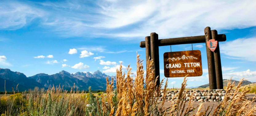 Full-Day Grand Teton Wildlife Safari in Grand Teton National Park