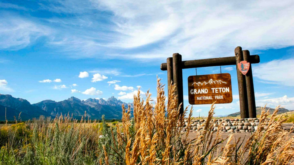 Private Full-Day Grand Teton Wildlife Safari in Grand Teton National Park