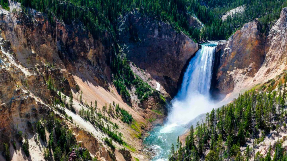 Full-Day Yellowstone Highlights Public Tour with Naturalist Guide