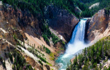 Jackson Hole Wildlife Safaris4