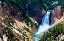 Jackson Hole Wildlife Safaris4