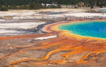 Jackson Hole Wildlife Safaris1