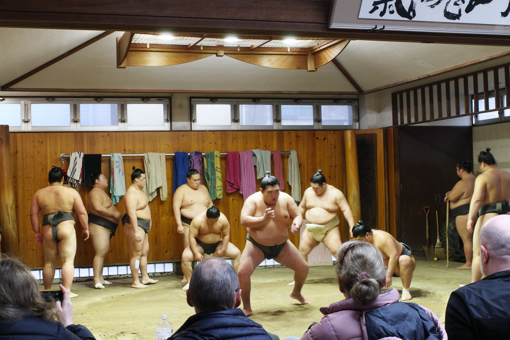 Premium Morning Sumo Practice Viewing at Sumo Stable in Asakusa