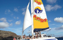 honi olani catamaran