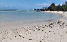 Samoa Surf and Turf Tours12