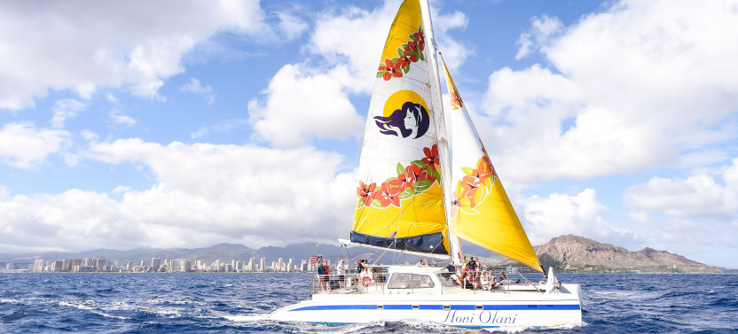 Honokohau Harbor: Whale Watch Sail On Honi Olani