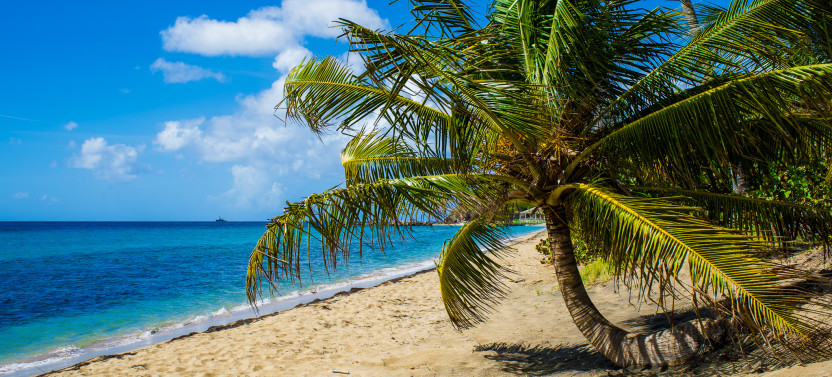 St. Kitts Photographer-Designed Island Tour With Pro Photos & Scenic Stops