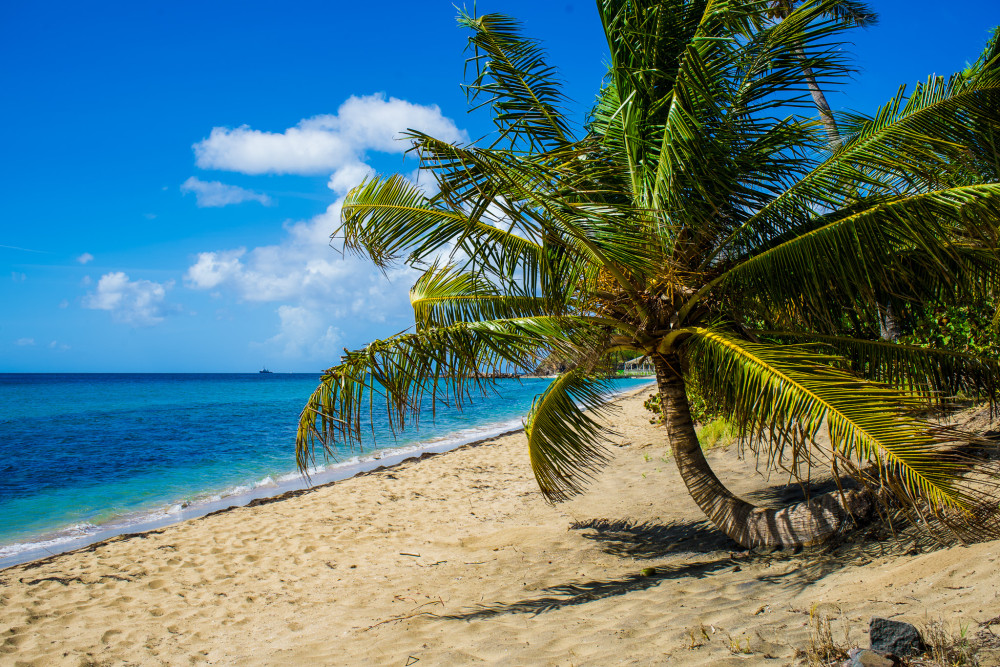 St. Kitts Photographer-Designed Island Tour With Pro Photos & Scenic Stops