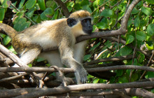 St. Kitts Cruise Photography7