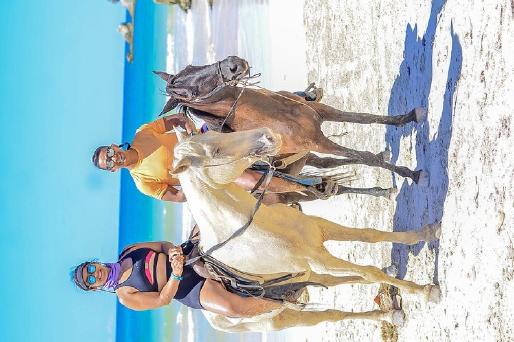 Voyage Punta Cana