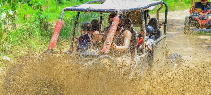 Punta Cana Horse and Buggy Adventure Tour