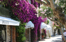 IAMME IA! - Gray Line Amalfi Coast329