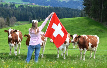 Swiss Magic Tours3