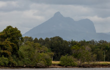 Tweed Eco Cruises8
