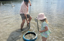 Tweed Eco Cruises7