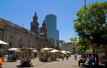 Gray Line Chile3