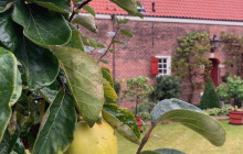 Bike & Bite Food Tours3