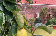 Bike & Bite Food Tours2