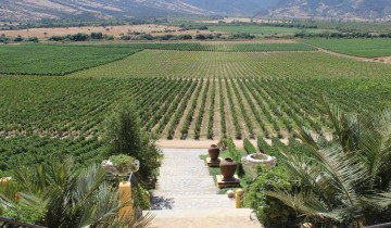 A picture of 4 Day Colchagua Wine & Dine Experience