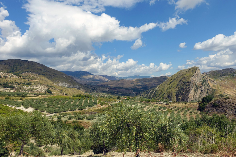 The Village Experience From Palermo Private Tour