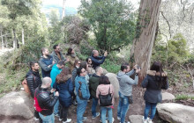 Duca12