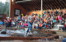 Cape Fox Tours, LLC19