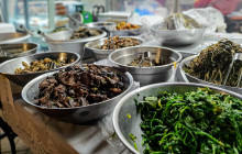 ZenKimchi Experiences13