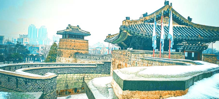 Suwon: Hwaseong Fortress & Royal Palace Walking Tour