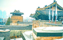 ZenKimchi Experiences1