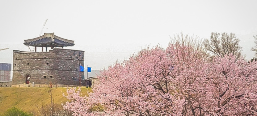 Suwon: Hwaseong Fortress & Royal Palace Walking Tour