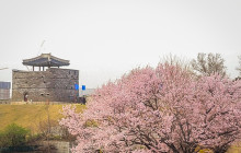 ZenKimchi Experiences2