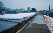 ZenKimchi Experiences3