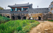 ZenKimchi Experiences12