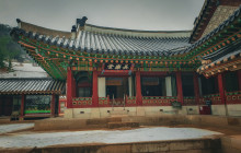 ZenKimchi Experiences15