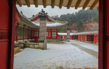 ZenKimchi Experiences16