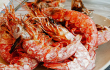 ZenKimchi Experiences4