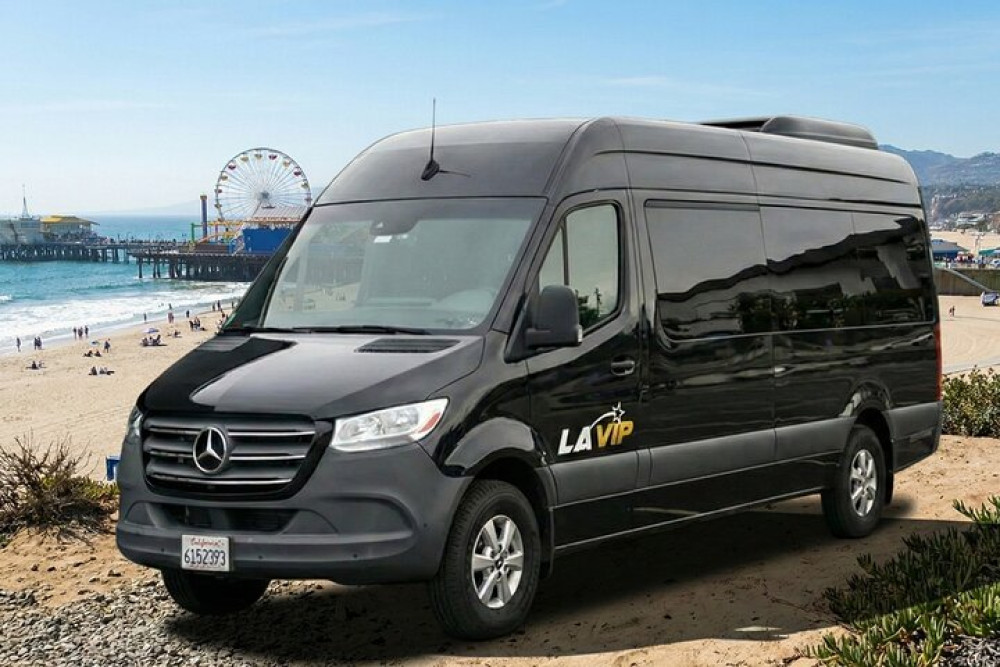 LA VIP Tours & Charters
