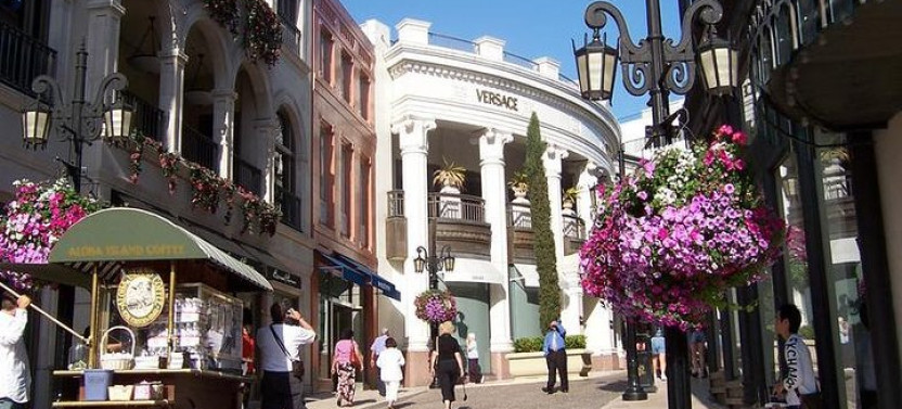 Luxury Los Angeles City Highlights Tour from Santa Monica